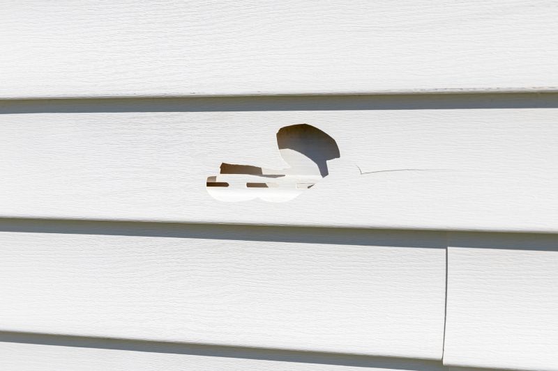Removing Damaged Siding Panels